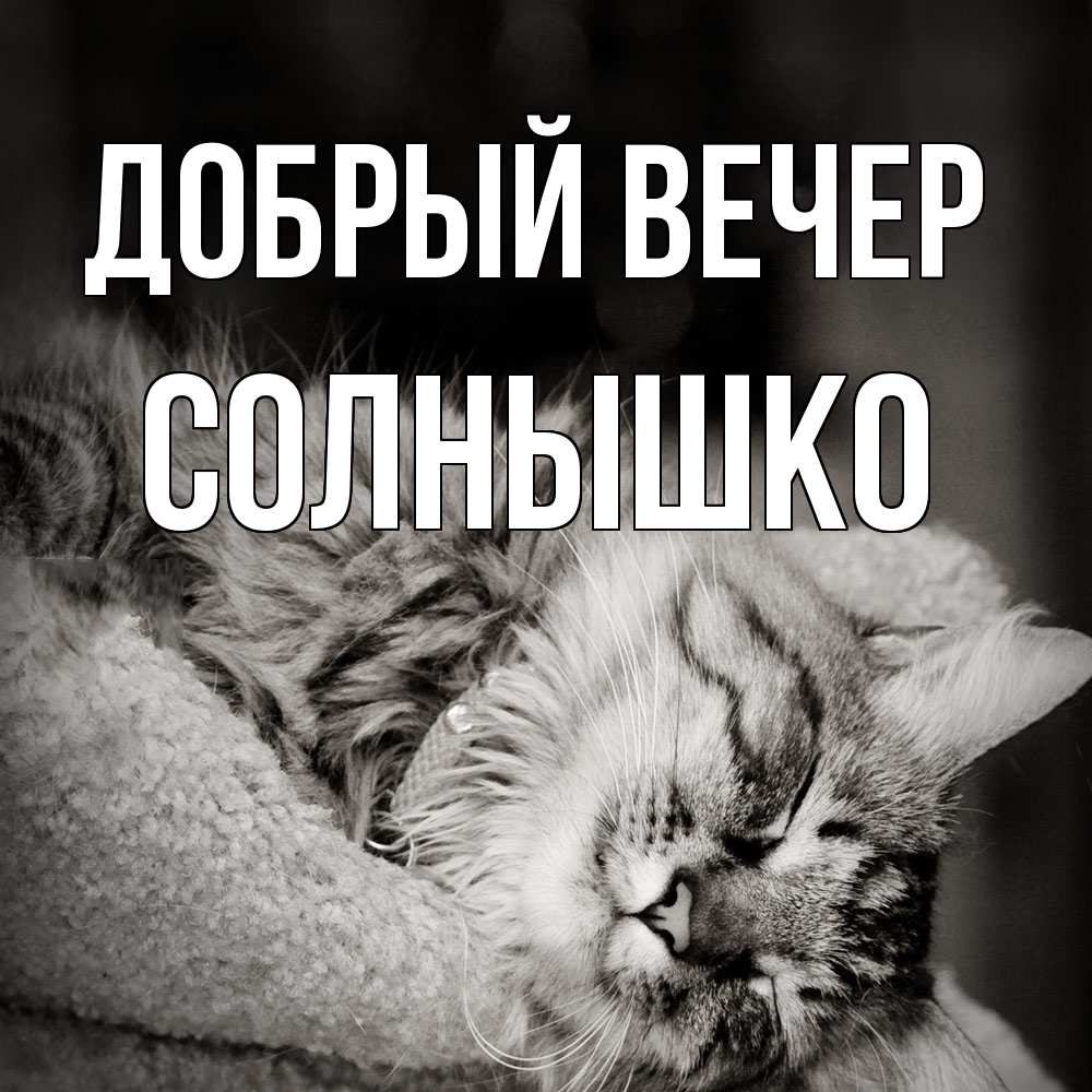 Открытка  с именем. Солнышко, Добрый вечер  