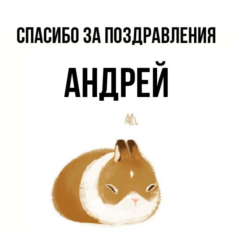 Картинка Спасибо за поздравления, Андрей