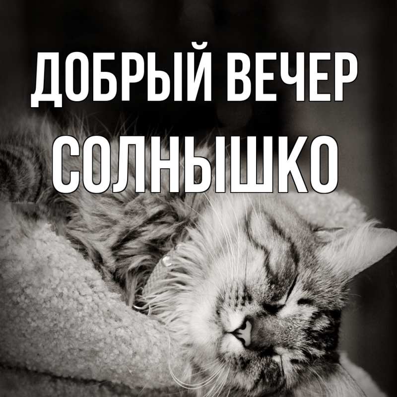 Картинка Добрый вечер, Солнышко