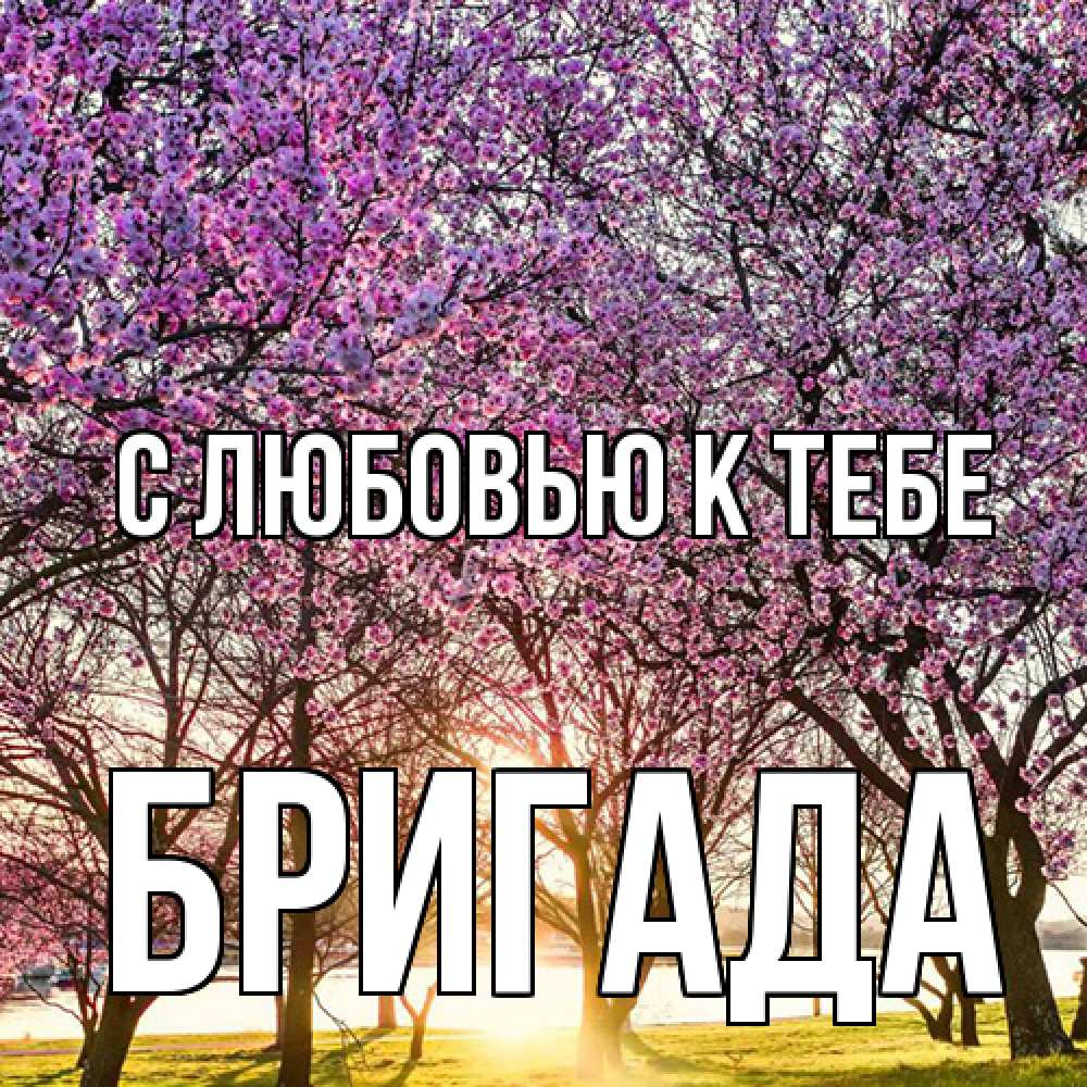 Открытка  с именем. Бригада, С любовью к тебе  