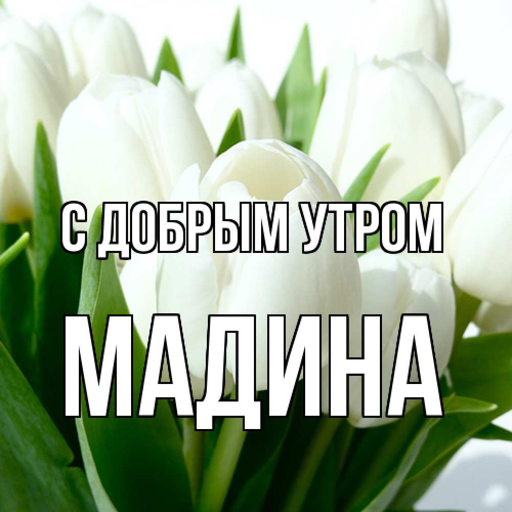 Открытка  с именем. Мадина, С добрым утром  