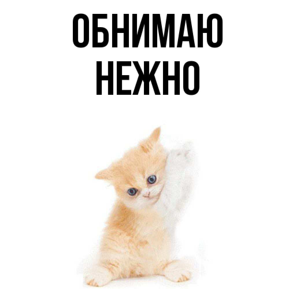 Открытка  с именем. Нежно, Обнимаю  