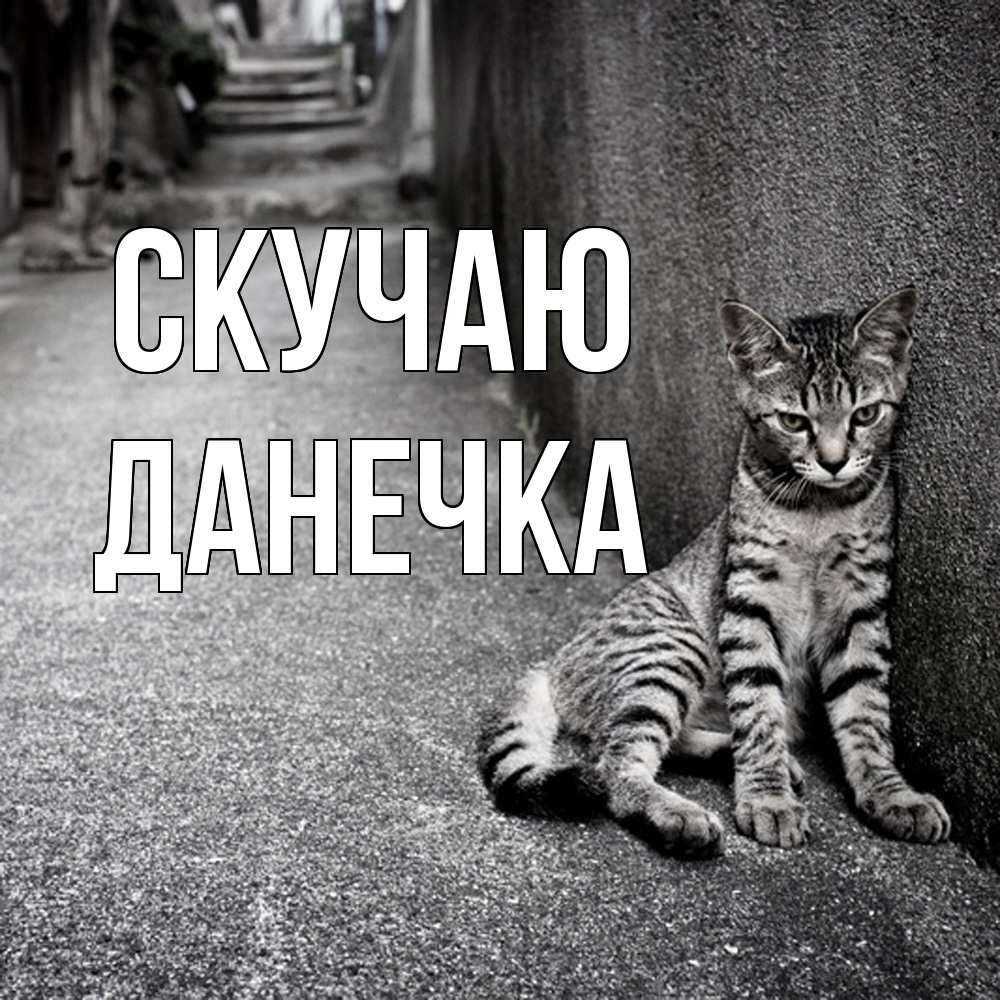 Открытка  с именем. Данечка, Скучаю  