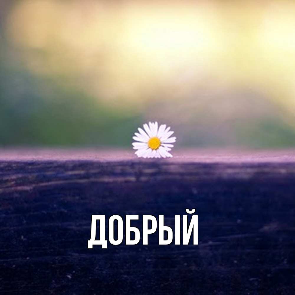 Открытка  с именем. Добрый, Главная  