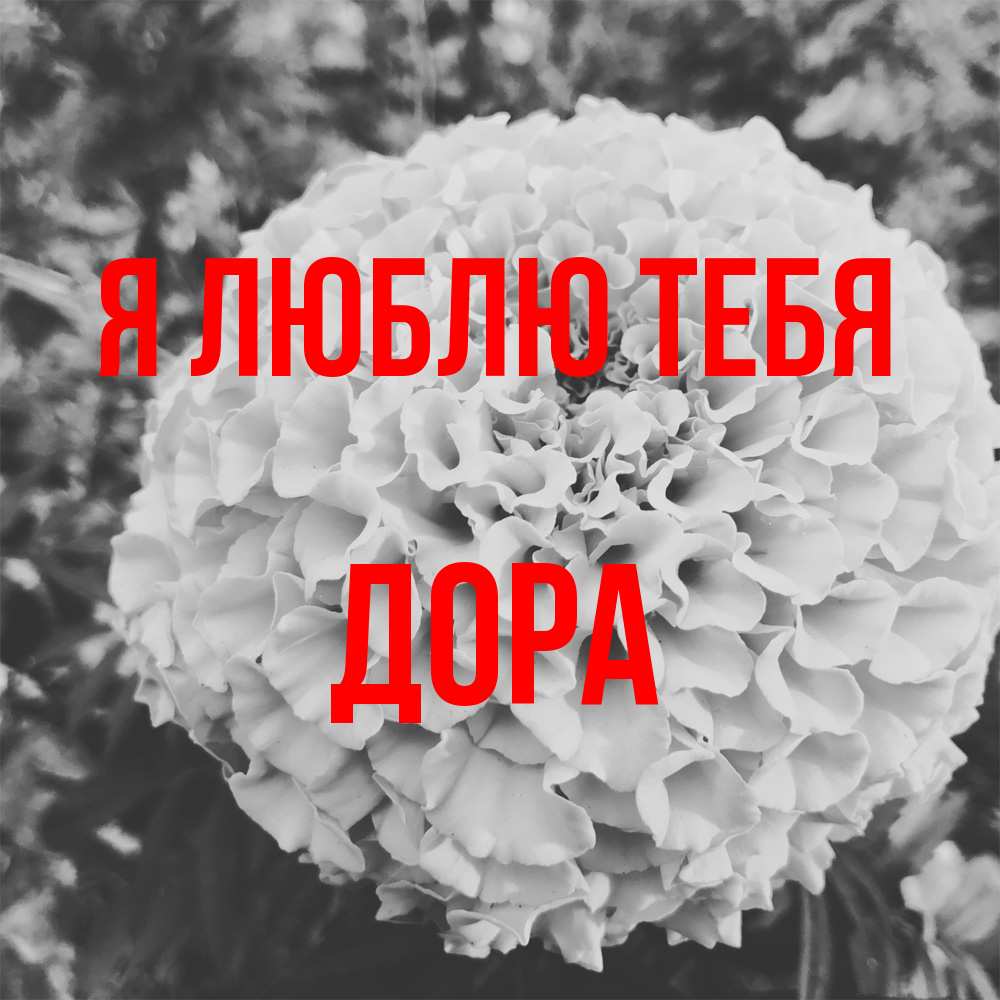 Открытка  с именем. Дора, Я люблю тебя  