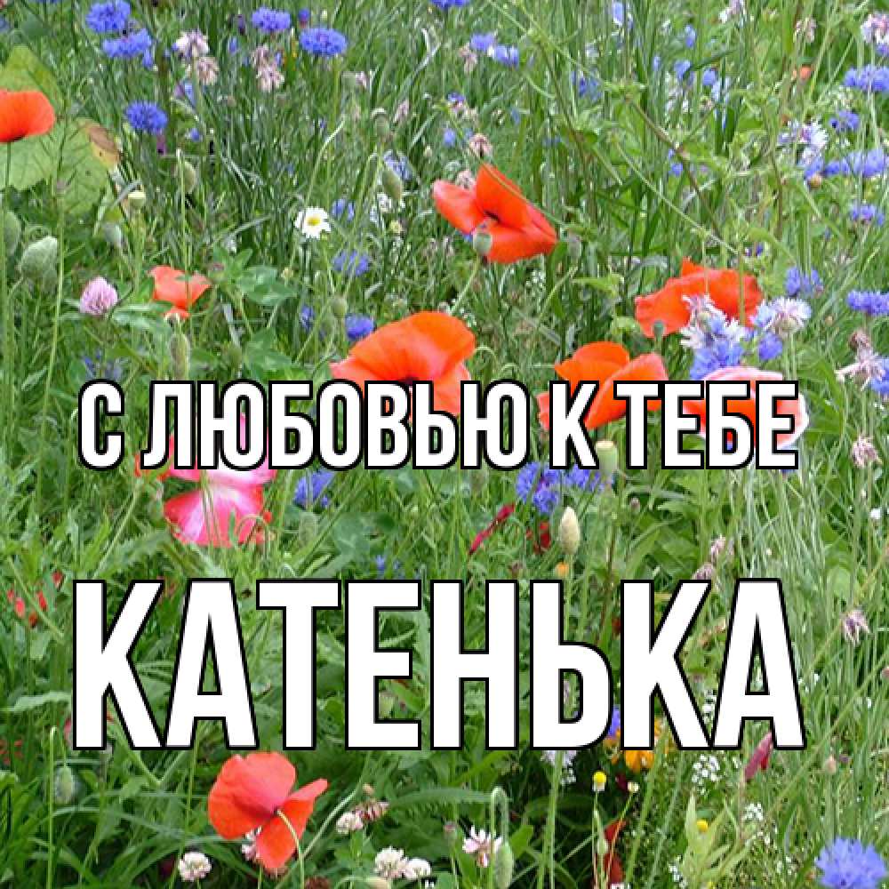 Открытка  с именем. Катенька, С любовью к тебе  