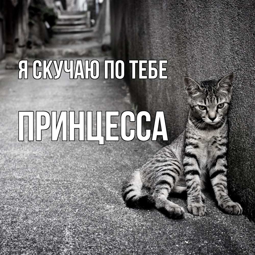 Открытка  с именем. Принцесса, Я скучаю по тебе  