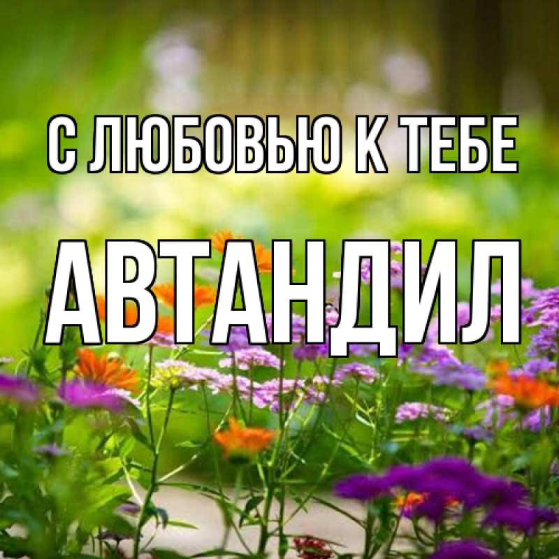 Картинка С любовью к тебе, Автандил