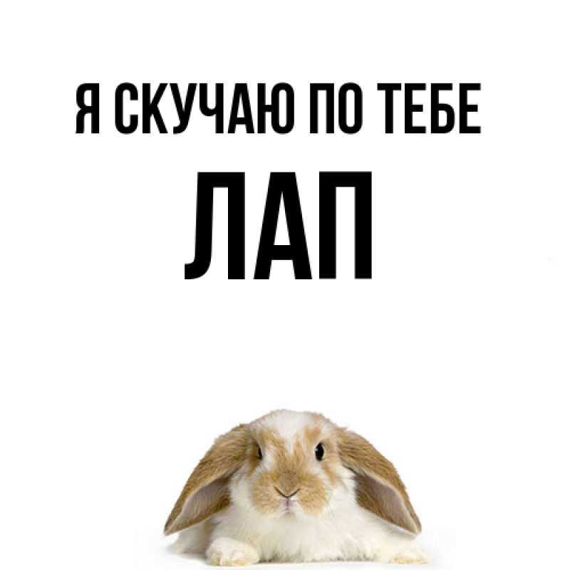 Картинка Я скучаю по тебе, Лап