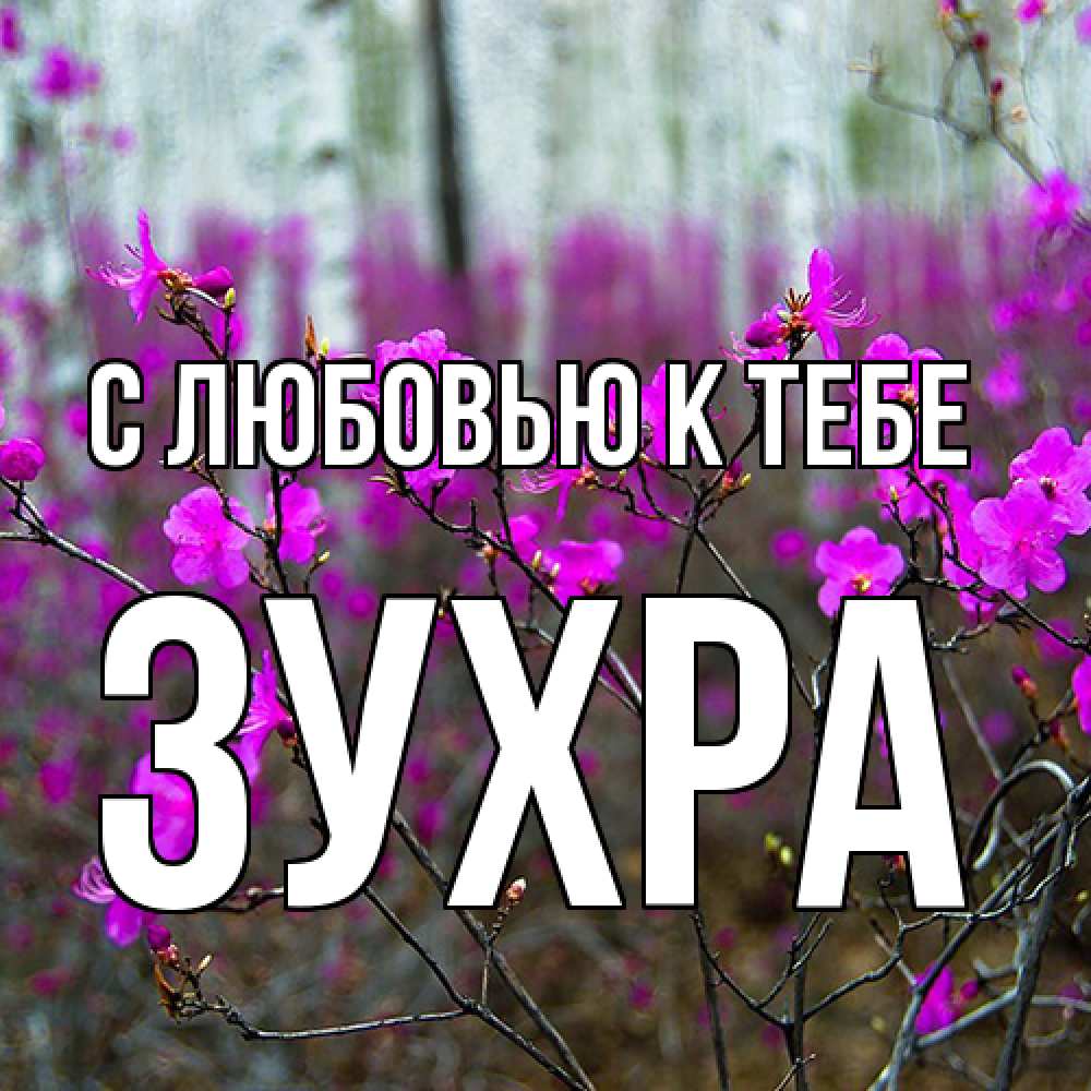 Открытка  с именем. Зухра, С любовью к тебе  