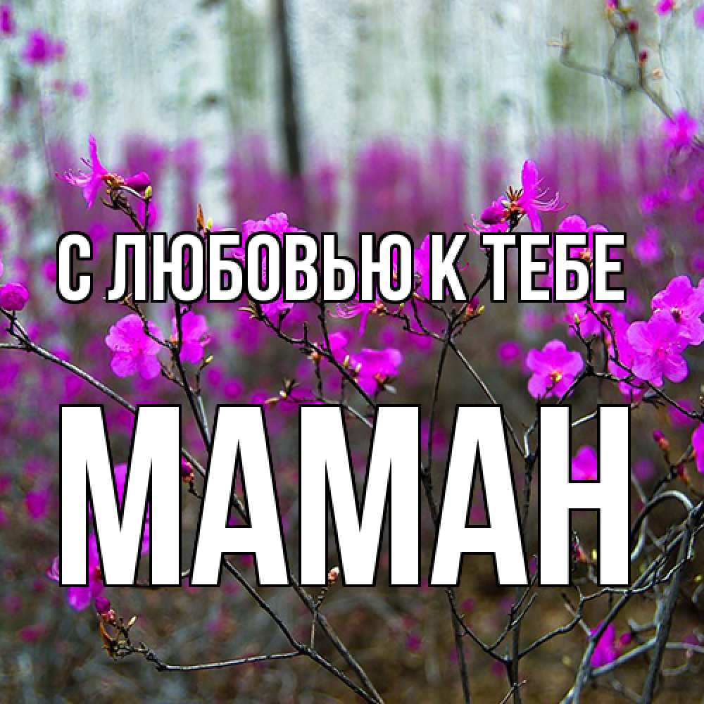 Открытка  с именем. Маман, С любовью к тебе  