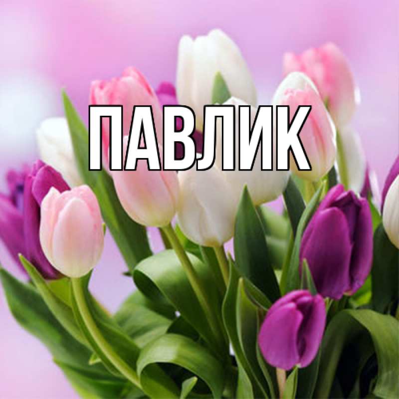 Картинка  с именем , Павлик
