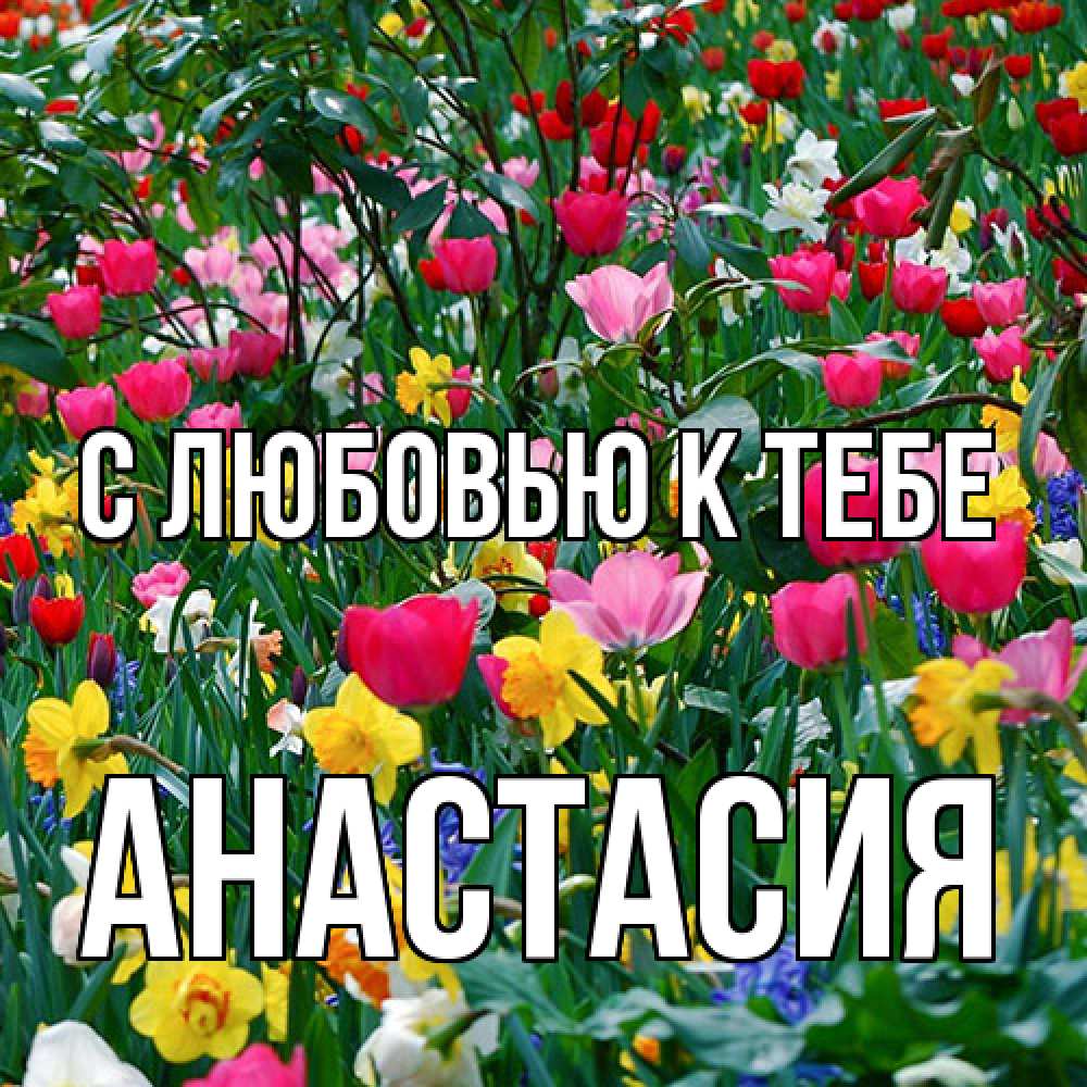 Открытка  с именем. Анастасия, С любовью к тебе  