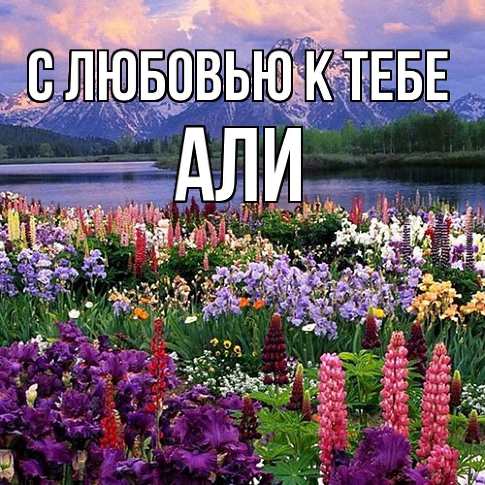 Открытка  с именем. Али, С любовью к тебе  