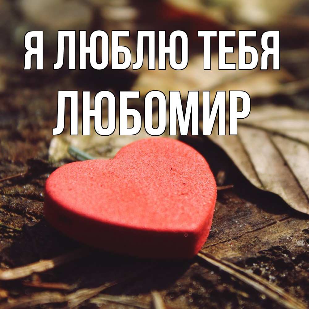 Открытка  с именем. Любомир, Я люблю тебя  