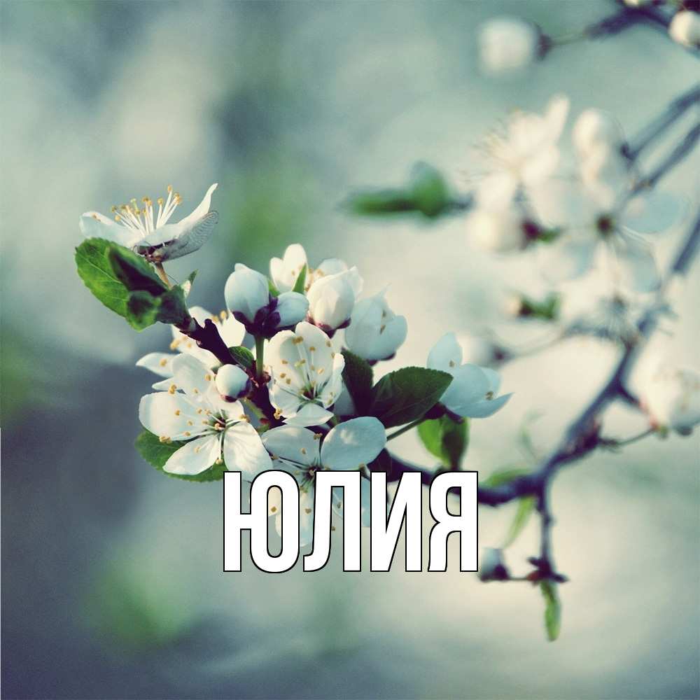 Открытка  с именем. Юлия, Главная  