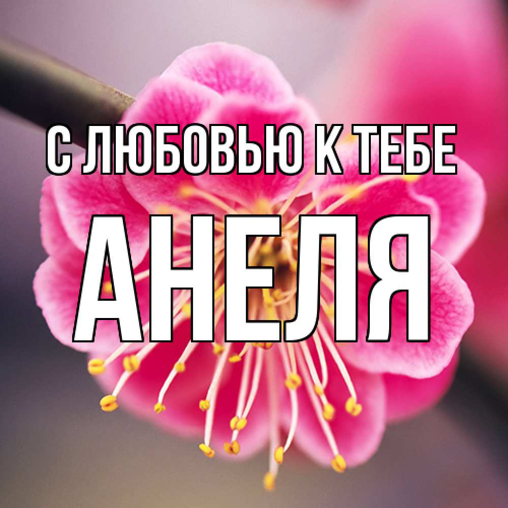 Открытка  с именем. Анеля, С любовью к тебе  