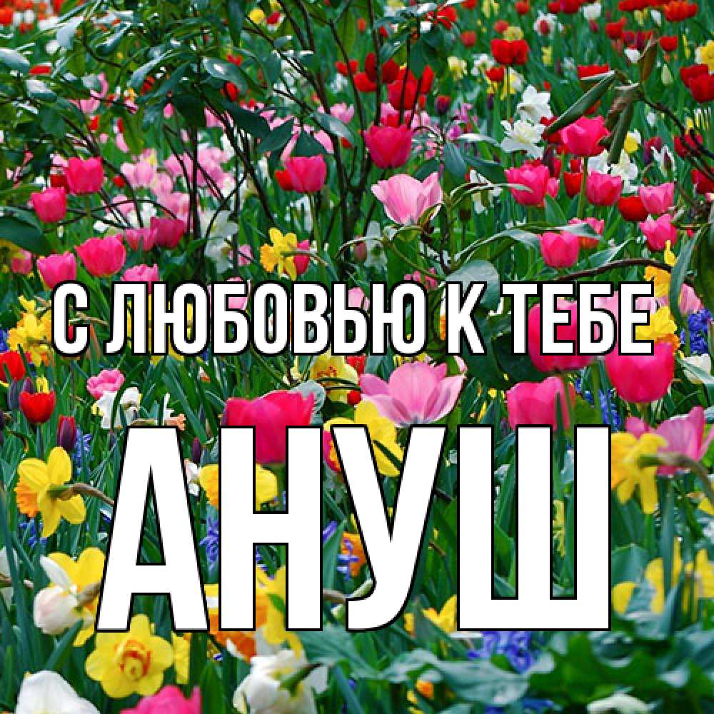 Открытка  с именем. Ануш, С любовью к тебе  