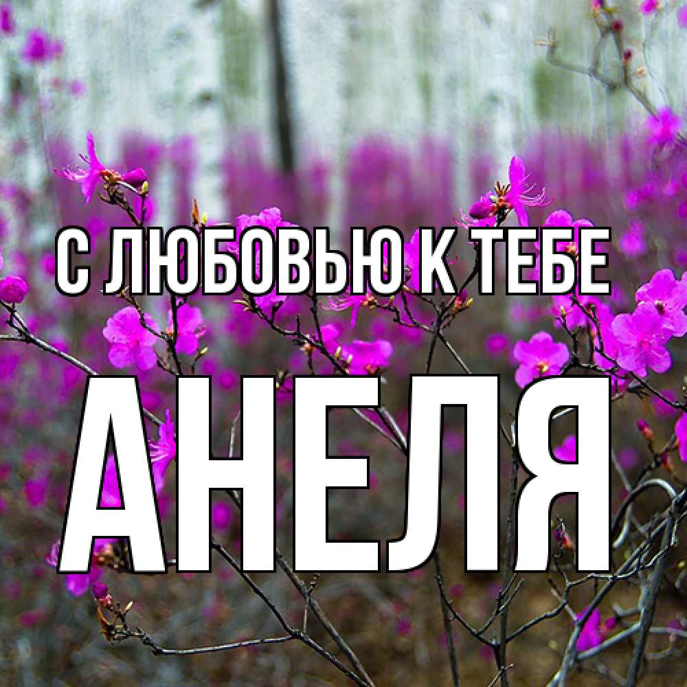 Открытка  с именем. Анеля, С любовью к тебе  