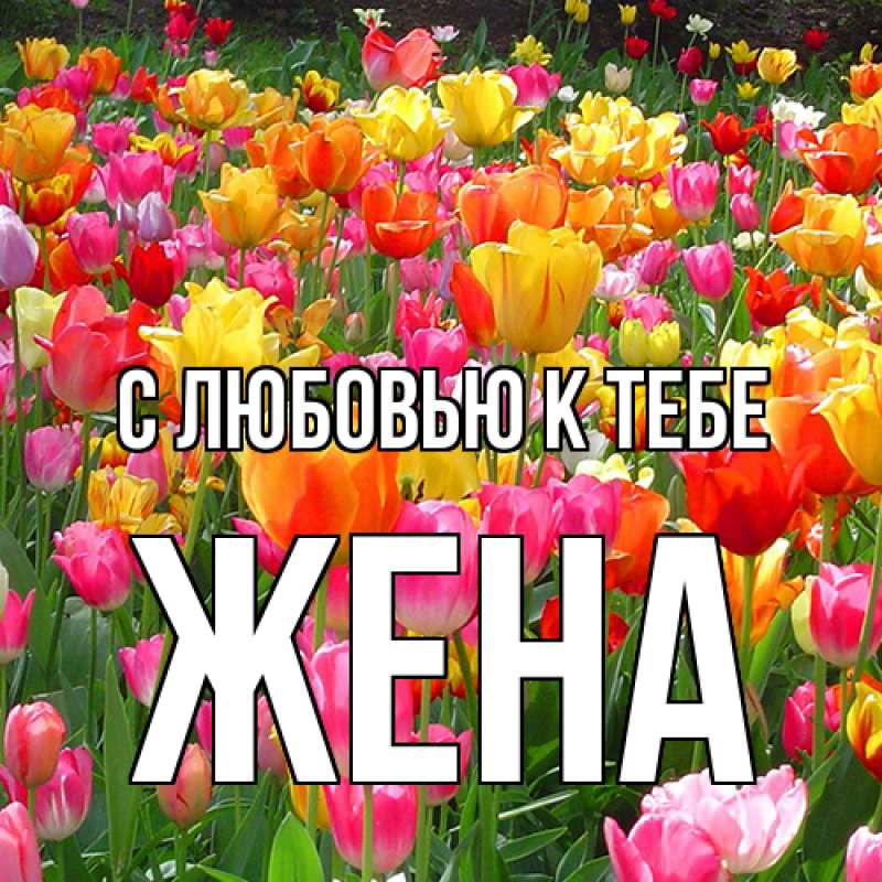 Картинка С любовью к тебе, Жена