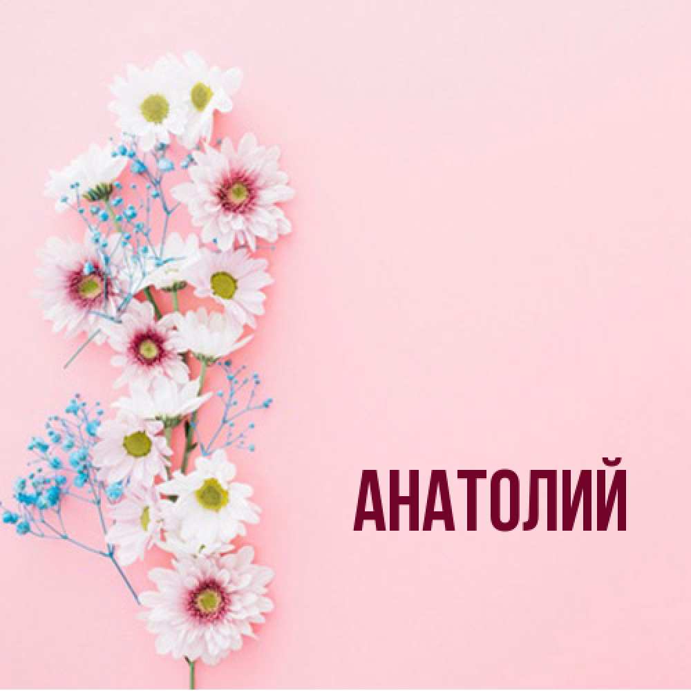 Открытка  с именем. Анатолий, Главная  