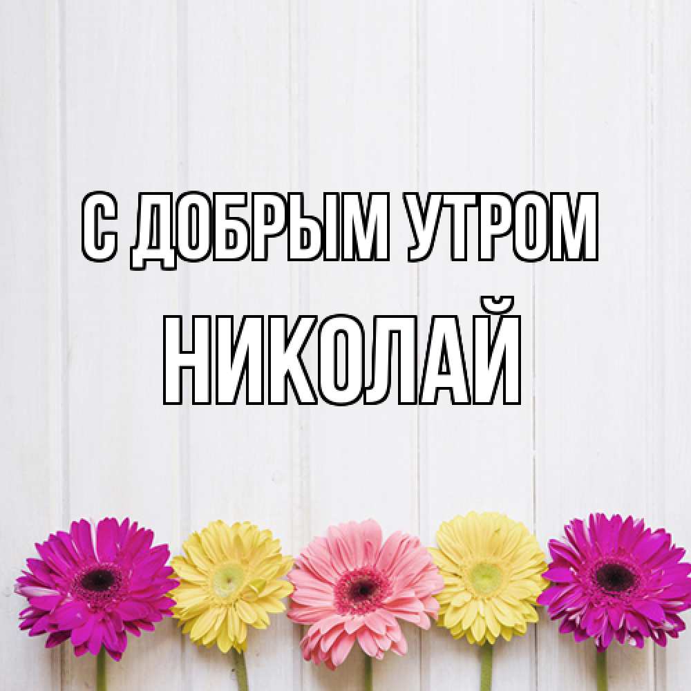 Открытка  с именем. Николай, С добрым утром  