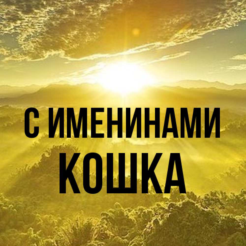 Открытка  с именем. Кошка, С именинами  