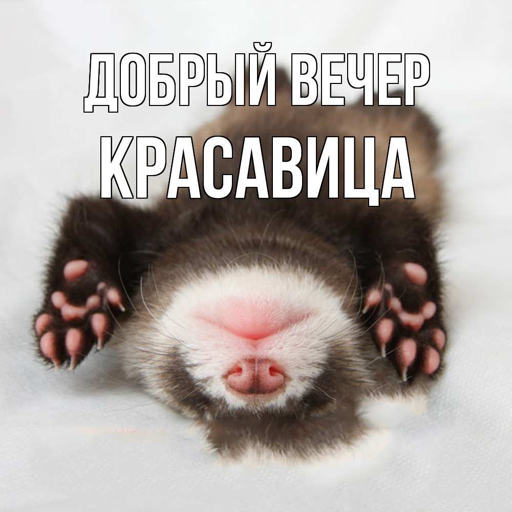 Открытка  с именем. Красавица, Добрый вечер  