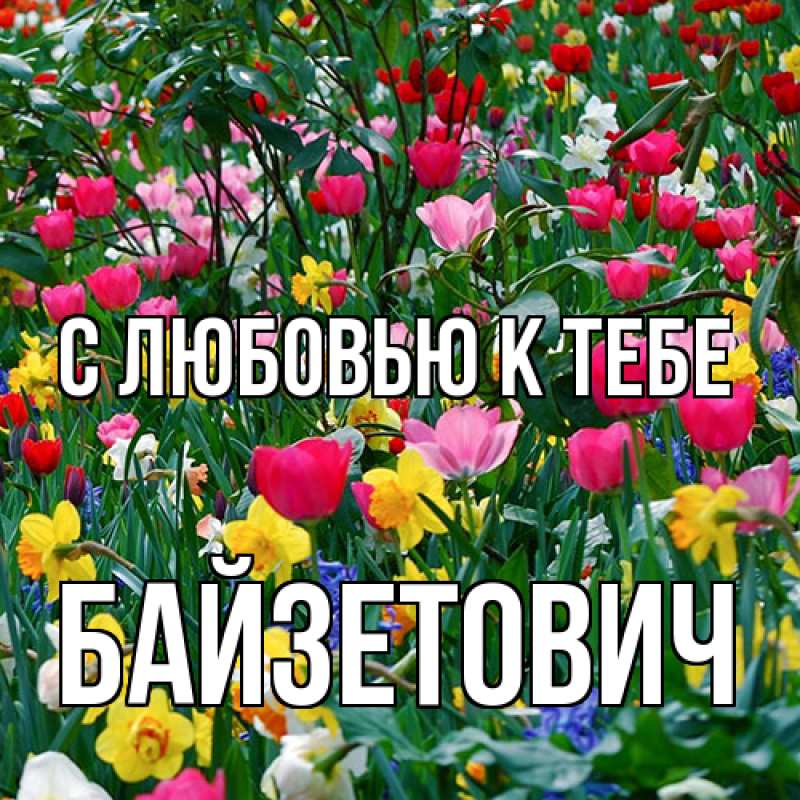 Картинка С любовью к тебе, Байзетович