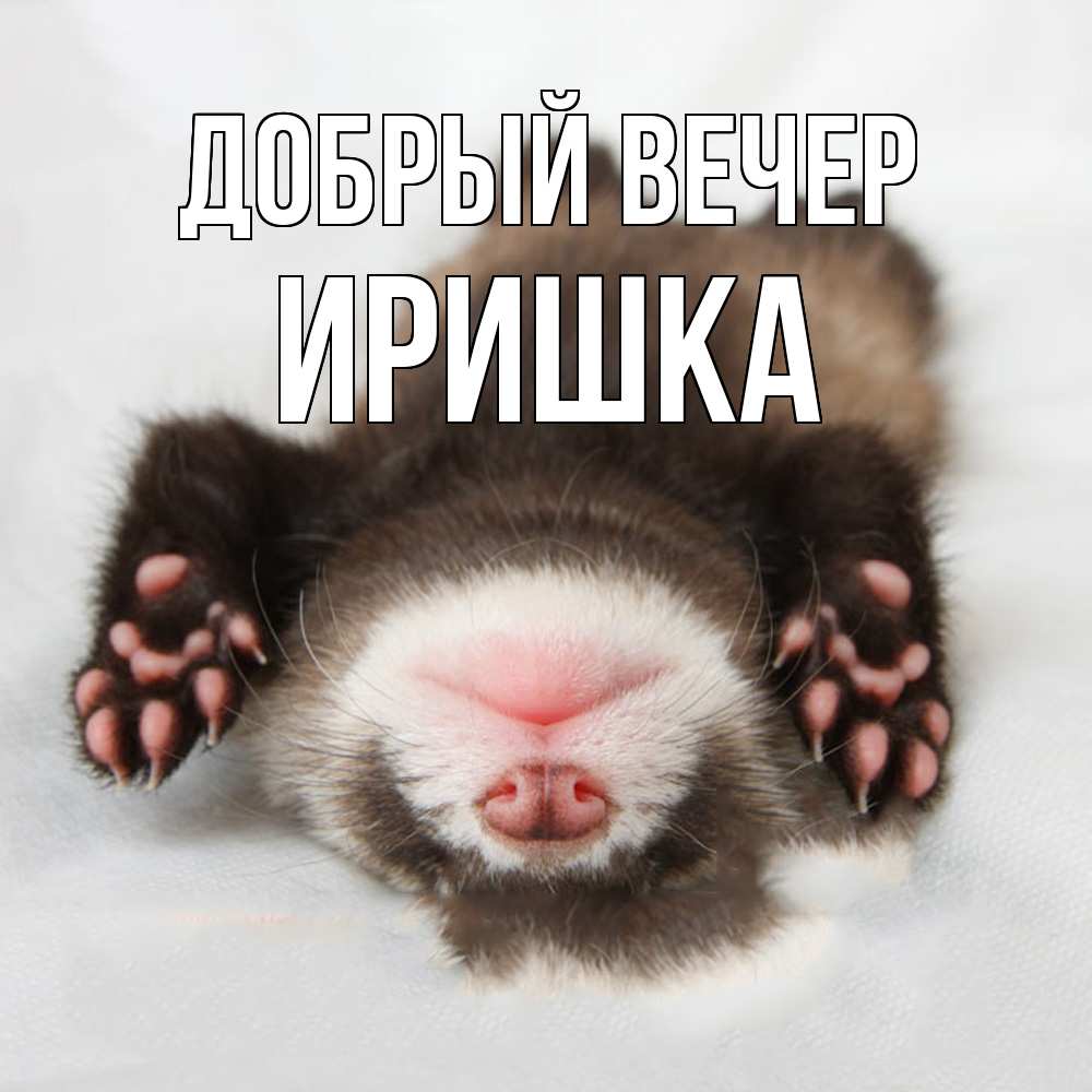Открытка  с именем. Иришка, Добрый вечер  