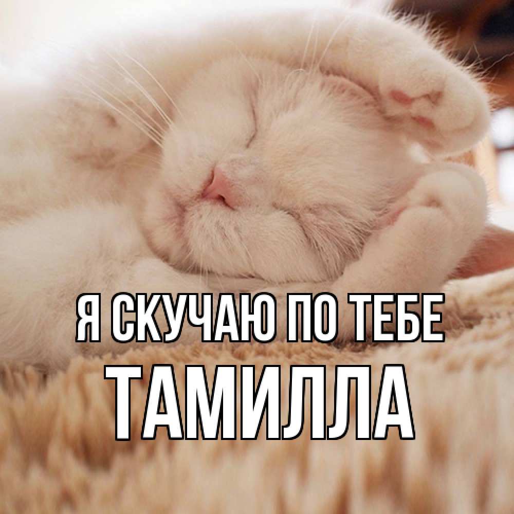 Открытка  с именем. Тамилла, Я скучаю по тебе  