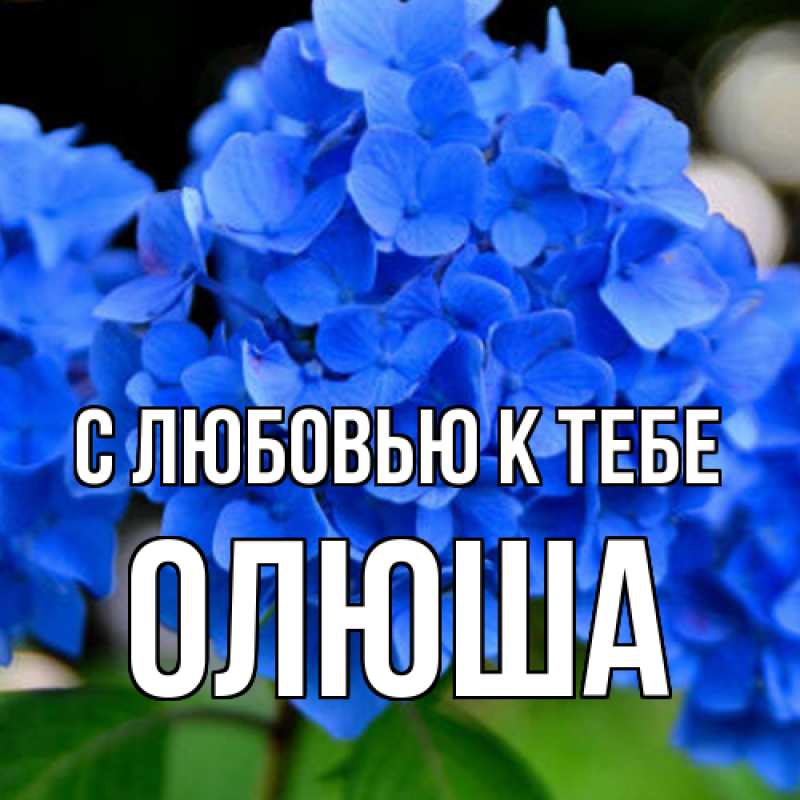 Картинка С любовью к тебе, Олюша