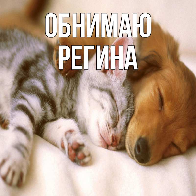 Картинка Обнимаю, Регина