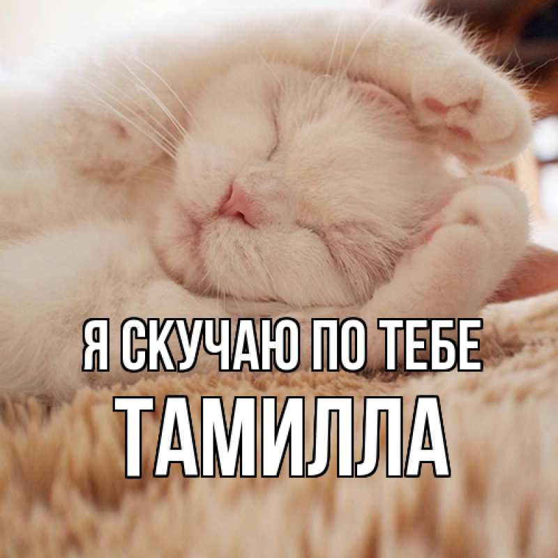 Картинка Я скучаю по тебе, Тамилла