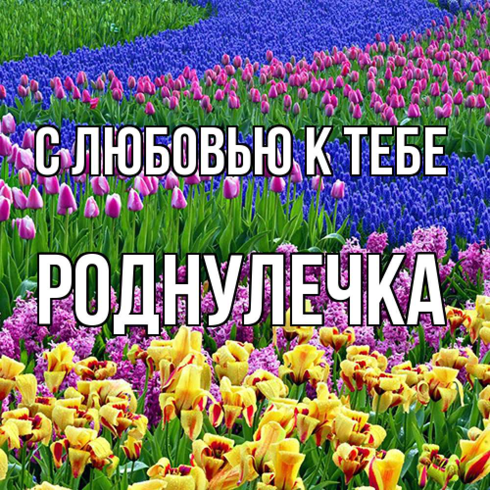 Открытка  с именем. Роднулечка, С любовью к тебе  