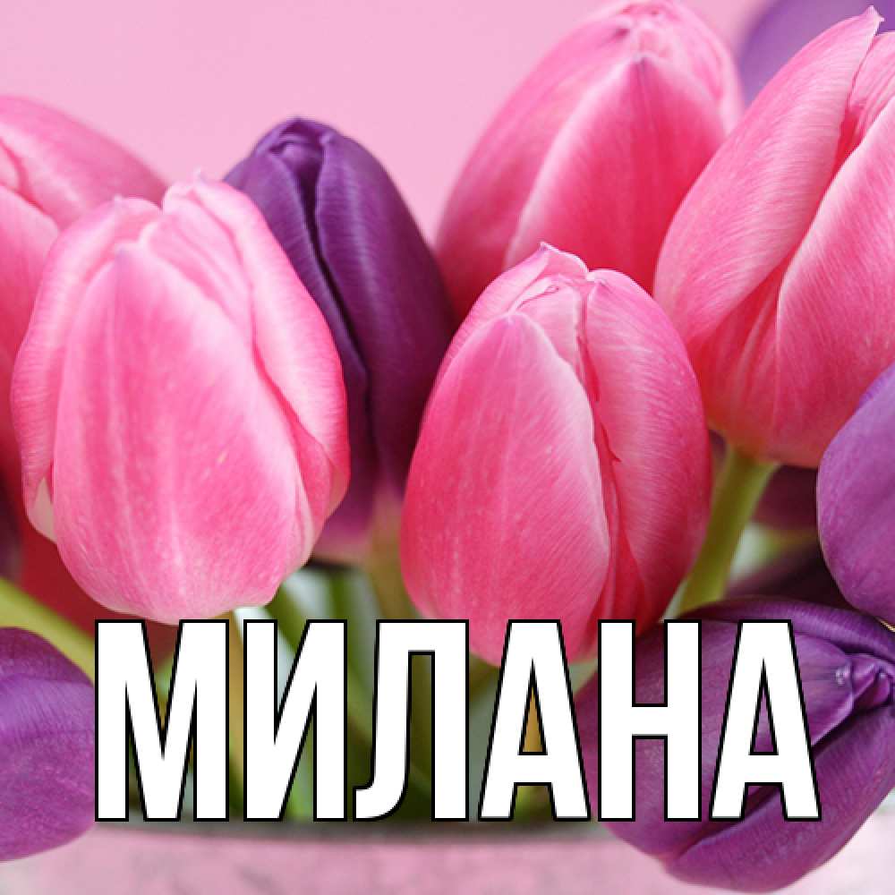 Открытка  с именем. Милана, Главная  