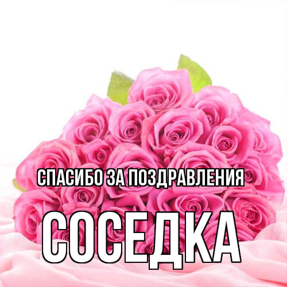 Соседка 