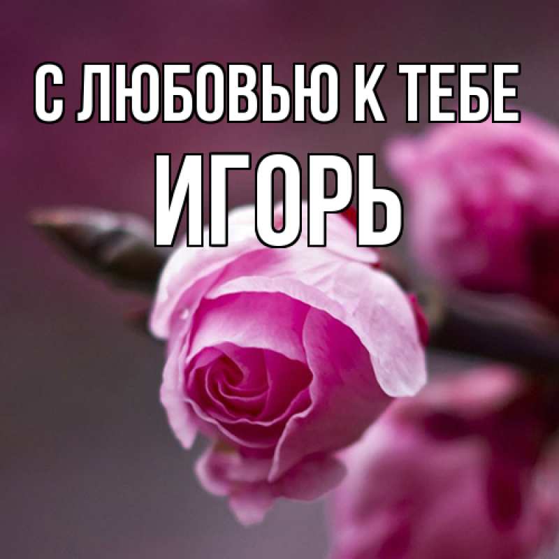 Картинка С любовью к тебе, Игорь