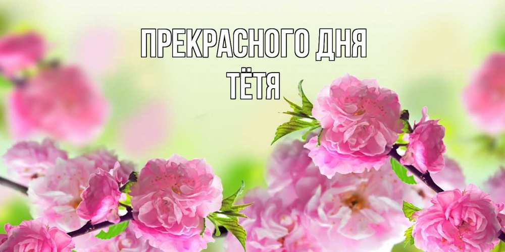 Открытка  с именем. Тётя, Прекрасного дня  