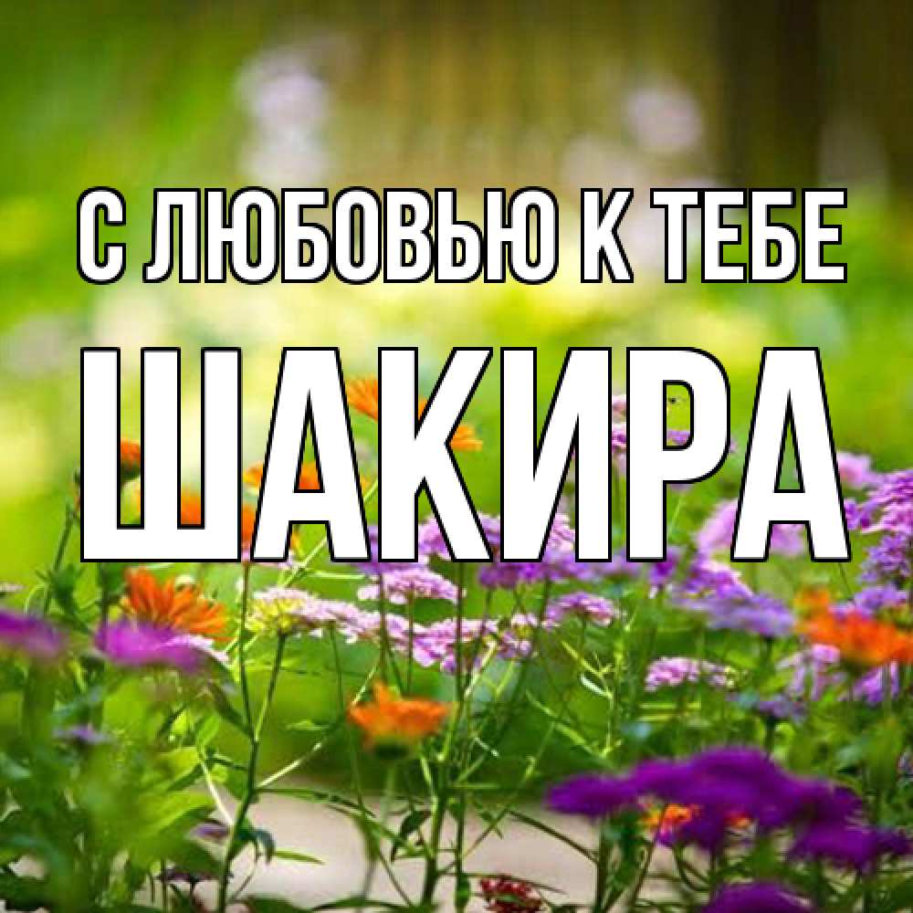 Открытка  с именем. Шакира, С любовью к тебе  