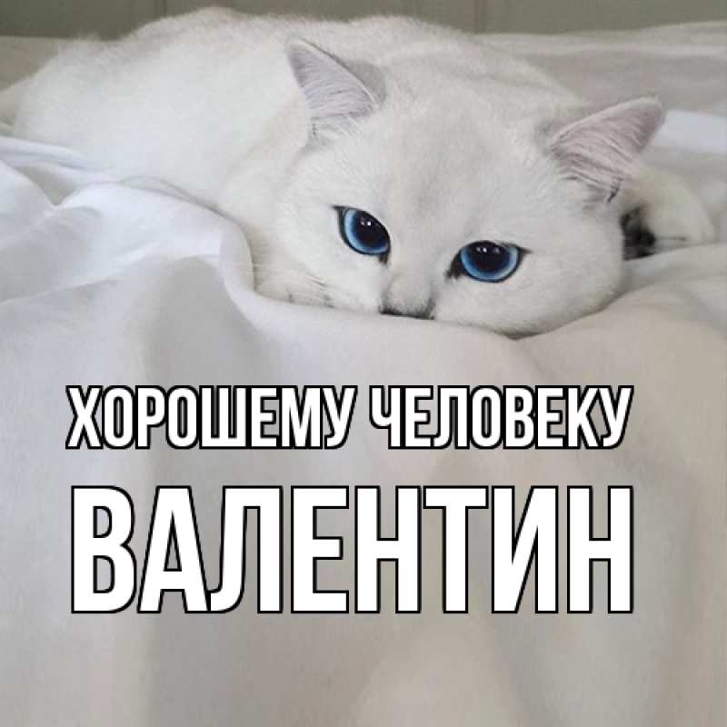 Картинка Хорошему человеку, Валентин