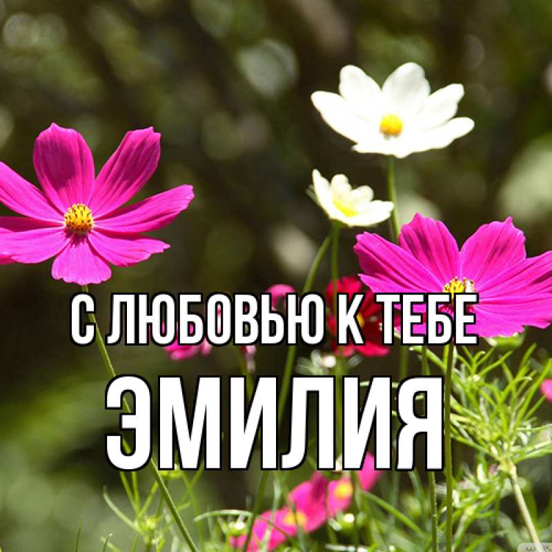 Картинка С любовью к тебе, Эмилия