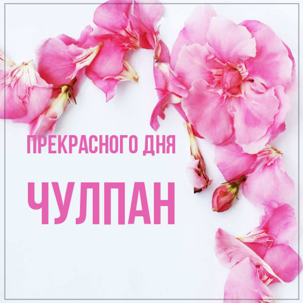 Открытка  с именем. Чулпан, Прекрасного дня  