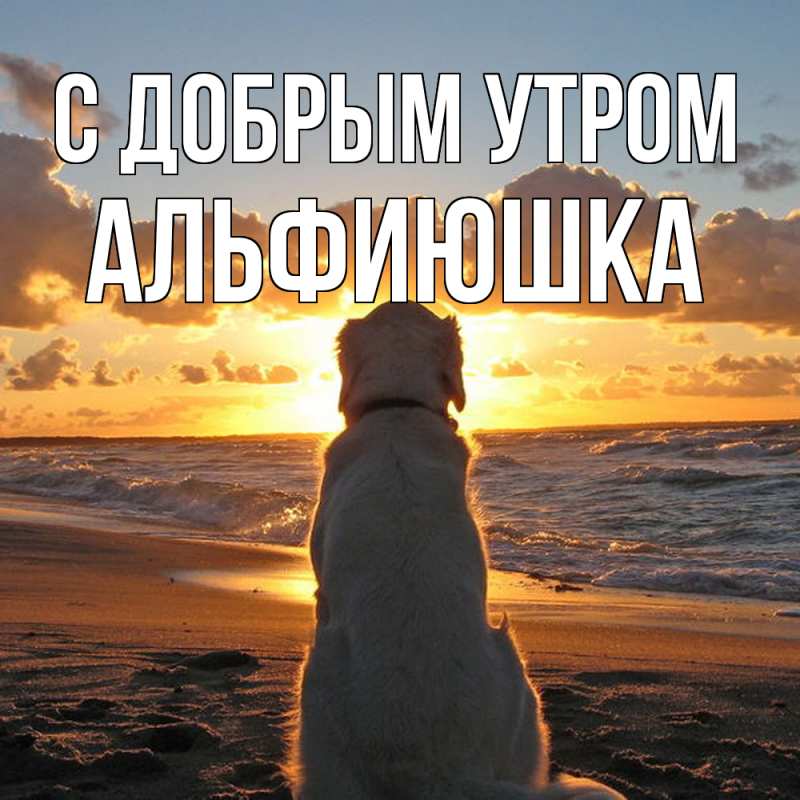 Открытка с именем, Альфиюшка, С добрым утром