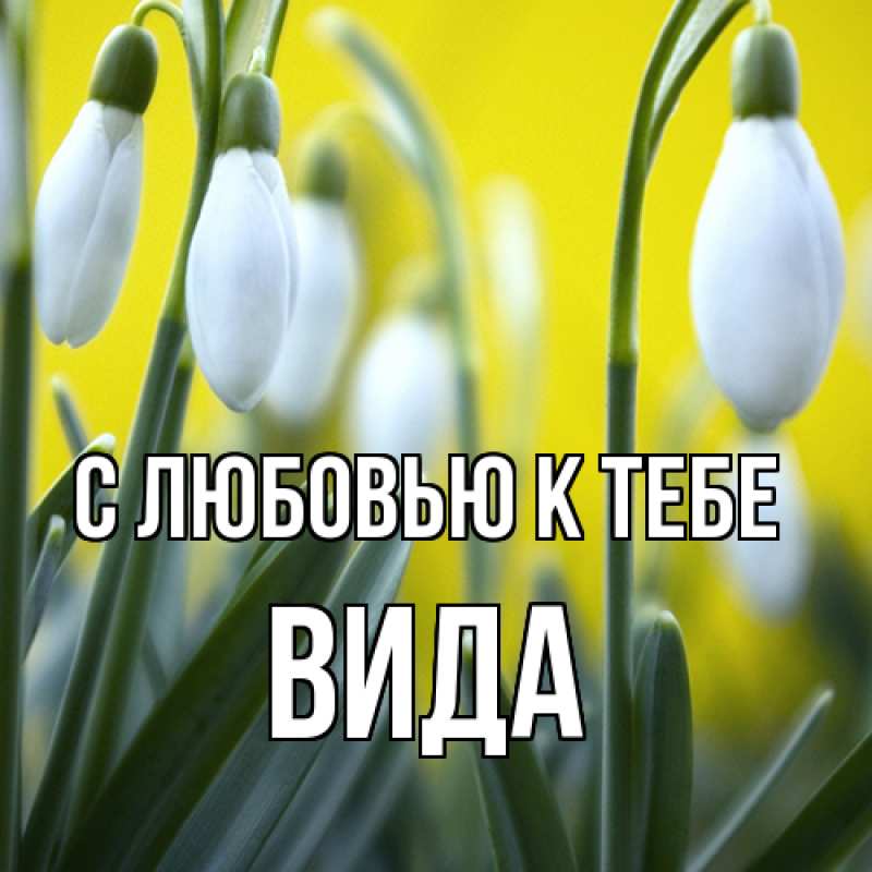 Картинка С любовью к тебе, Вида