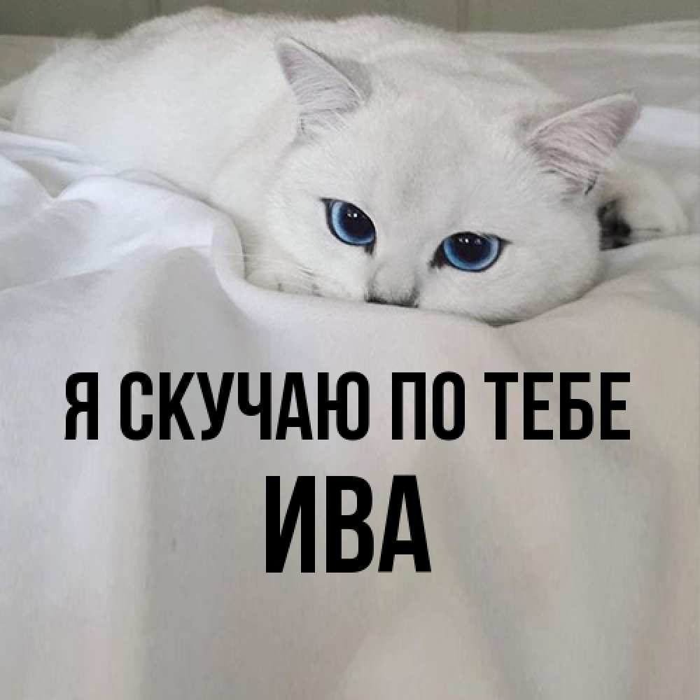 Открытка  с именем. Ива, Я скучаю по тебе  