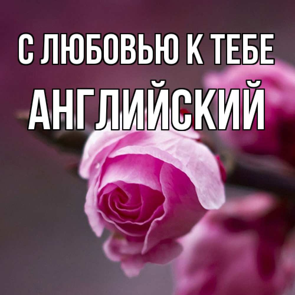 Открытка  с именем. Английский, С любовью к тебе  