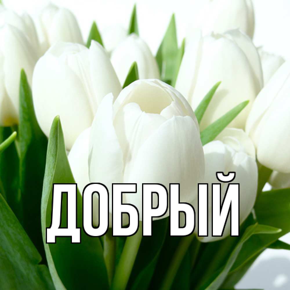Открытка  с именем. Добрый, Главная  