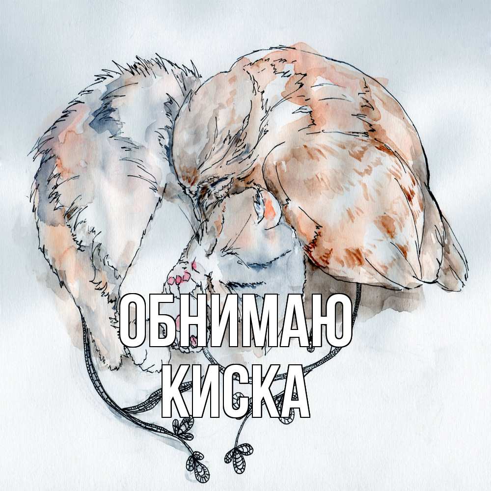 Открытка  с именем. Киска, Обнимаю  