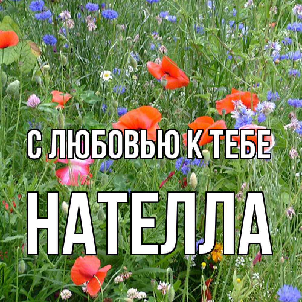 Открытка  с именем. Нателла, С любовью к тебе  